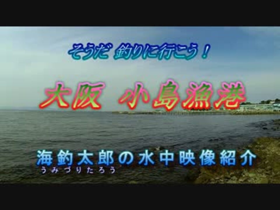 水中カメラ沈めてみた106 小島漁港 15 ニコニコ動画