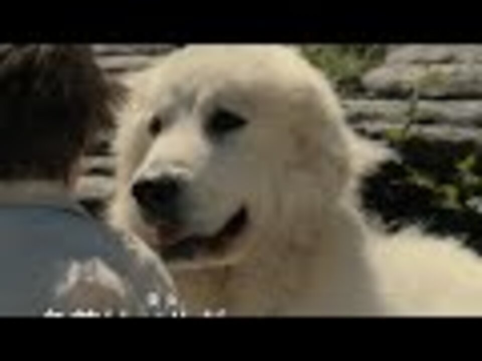 人気の 名犬ジョリィ 動画 本 ニコニコ動画