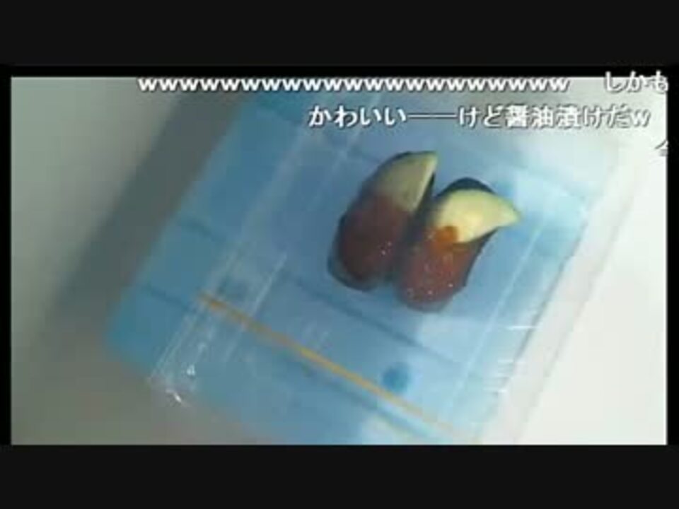 回転寿司でイクラ買って釣り餌に使ってみた ニコニコ動画