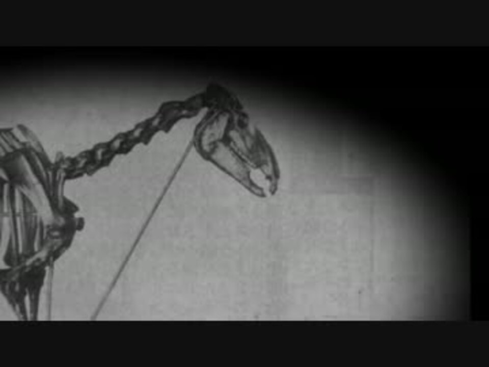 ゴジラ ゴルシｖｓフェノーメノ ニコニコ動画