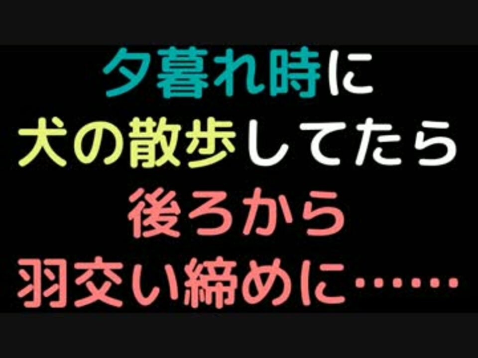 夕暮れ時に犬の散歩してたら後ろから羽交い締めに 2ch ニコニコ動画