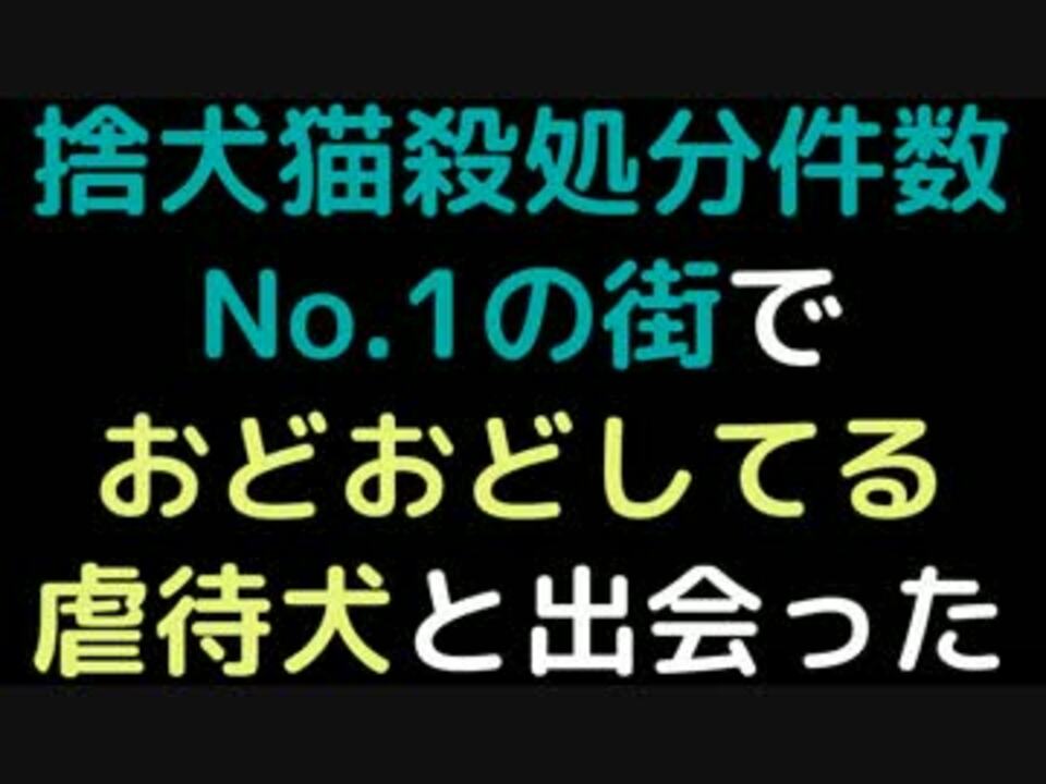 人気の その他 メシウマ 動画 0本 25 ニコニコ動画