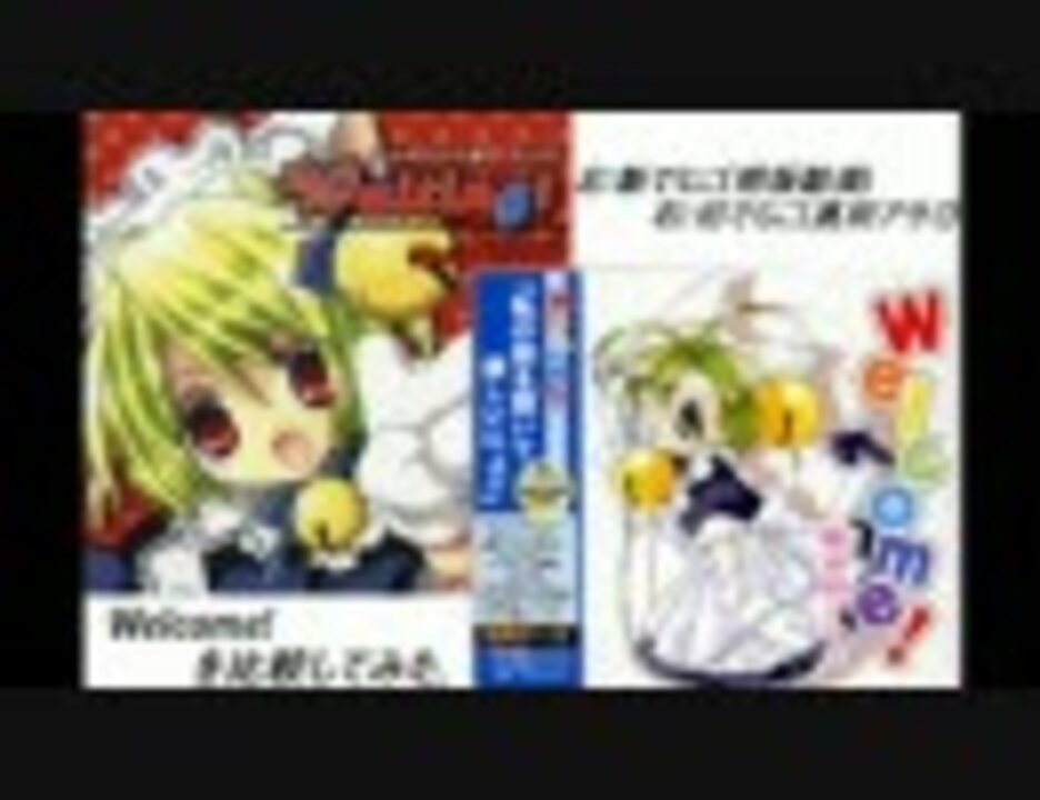 あいちゃん ドライフラワー Nolachristmasfest Com