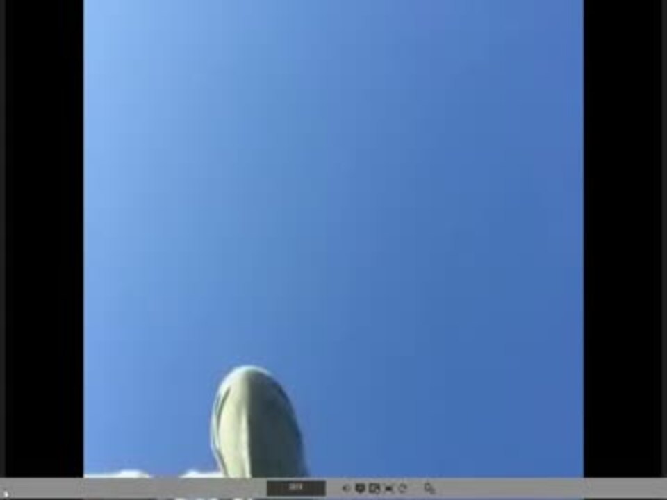äººæ°—ã® å¥‡è¡Œç¨® å‹•ç