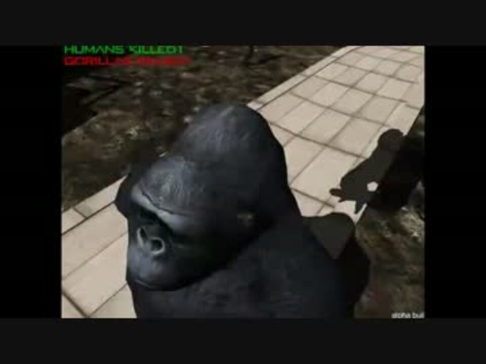 霊長類レイプ ゴリラと化した先輩 Gorilla ニコニコ動画