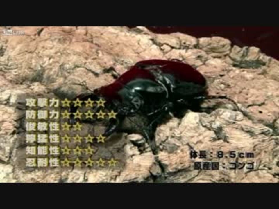 人気の 動物 虫皇帝 動画 27本 ニコニコ動画