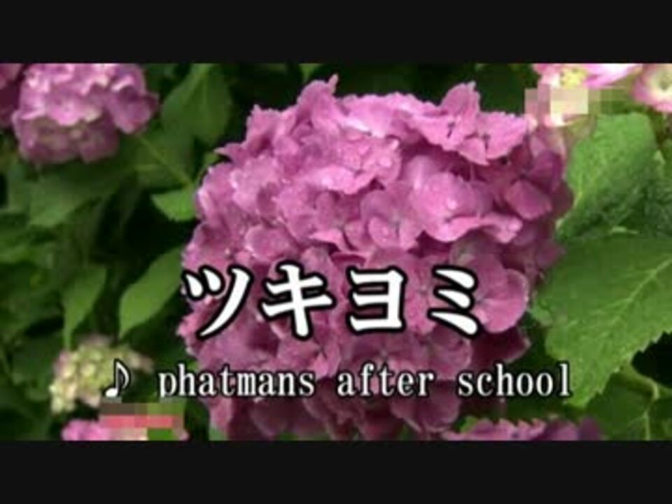 カラオケ ツキヨミ Phatmans After School 高音質 ニコニコ動画