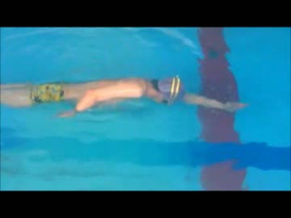 人気の 水泳 動画 360本 4 ニコニコ動画