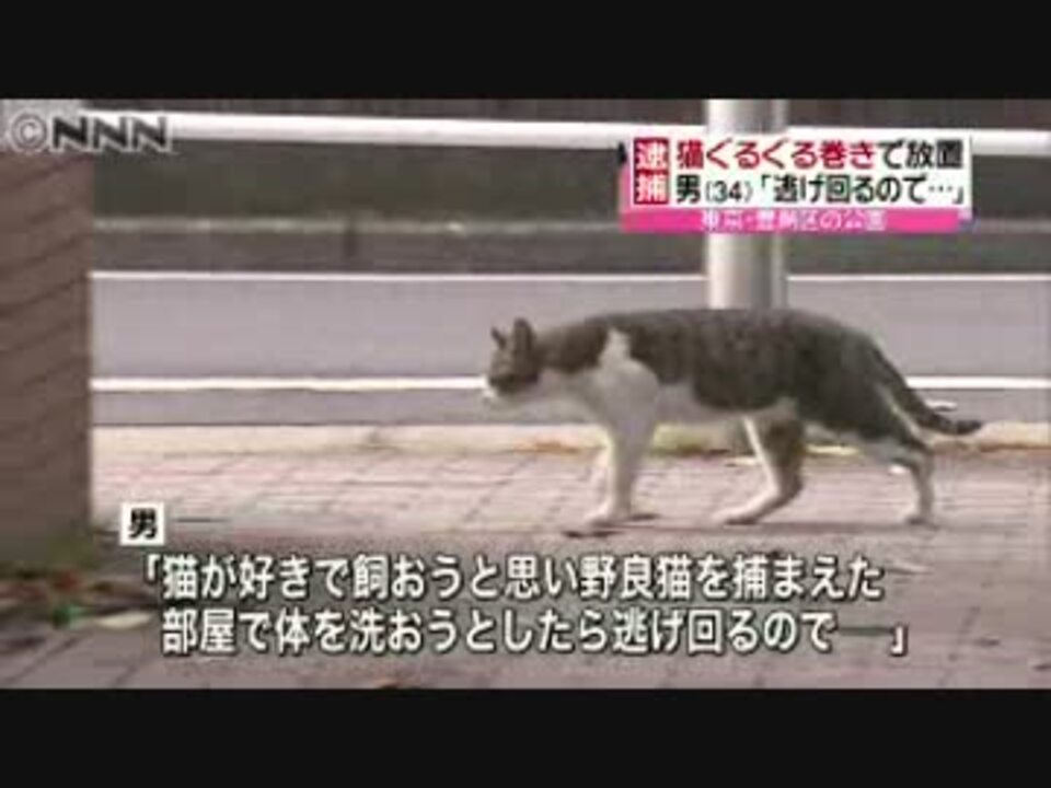 東京 豊島区の公園 猫 ぐるぐる巻き で放置 ニコニコ動画