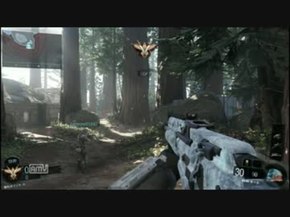 Ps4 Cod Bo3 Tdm Vs3pt ニコニコ動画