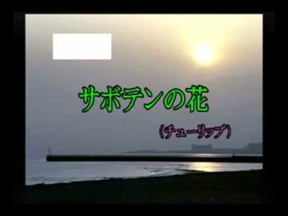 カラオケ サボテンの花 チューリップ Off Vocal ニコニコ動画