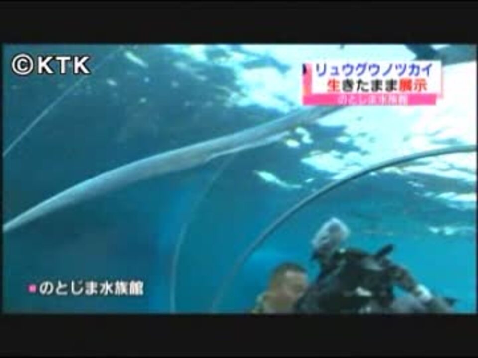 リュウグウノツカイ 水族館で泳ぐ姿見せる ニコニコ動画