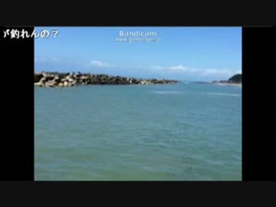 人気の 釣り配信 動画 22本 ニコニコ動画