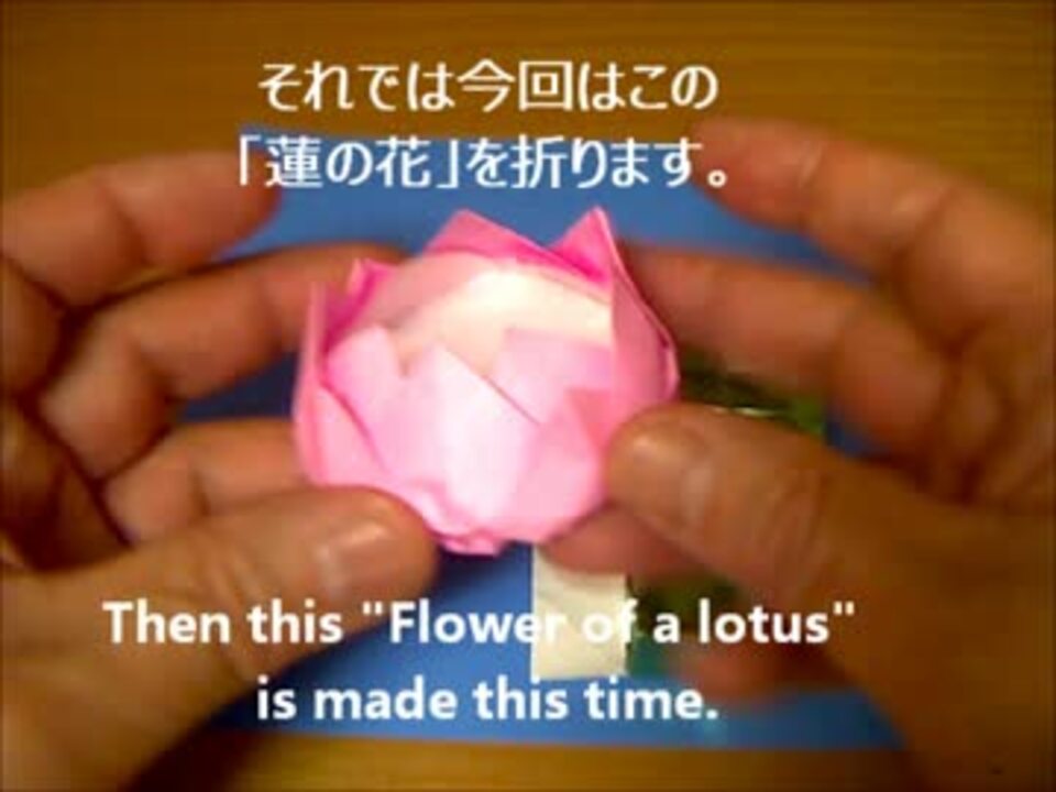 蓮の花 と 十字架 ニコニコ動画