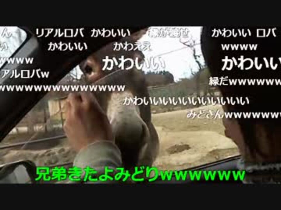 人気の ロバ 動画 149本 3 ニコニコ動画