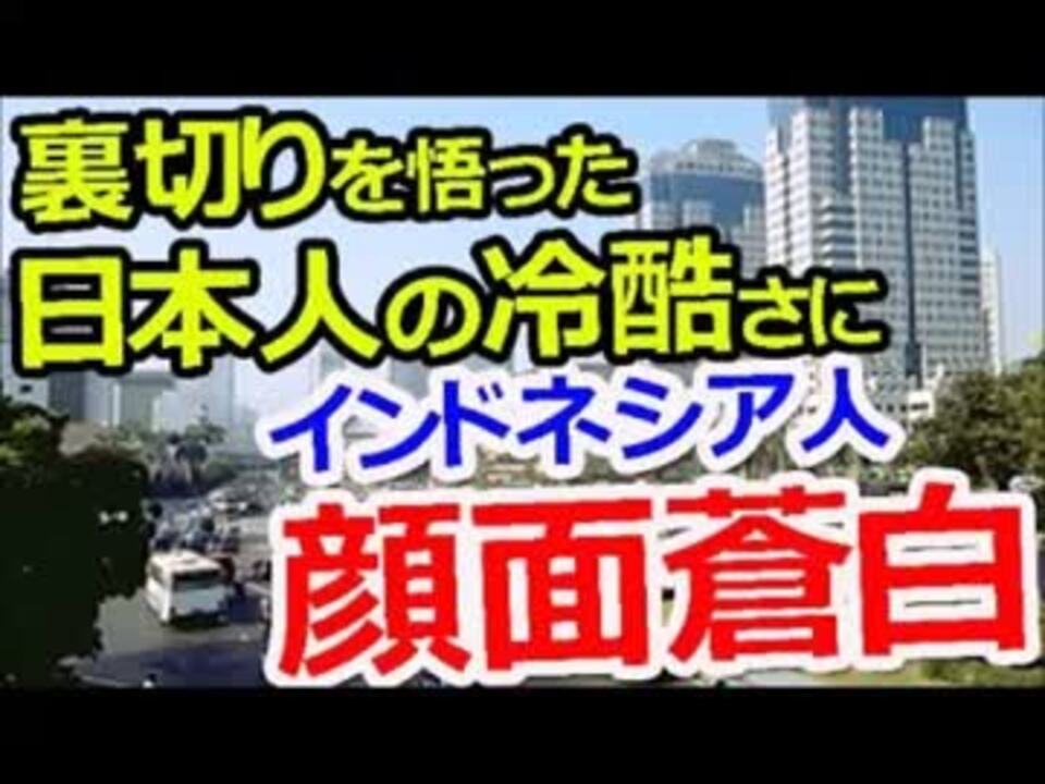 普通は絶縁だ 裏切りを知った日本人の冷酷さにインドネシア人顔面蒼白 ニコニコ動画