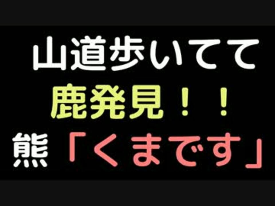 山道歩いてて鹿発見 熊 くまです 2ch ニコニコ動画