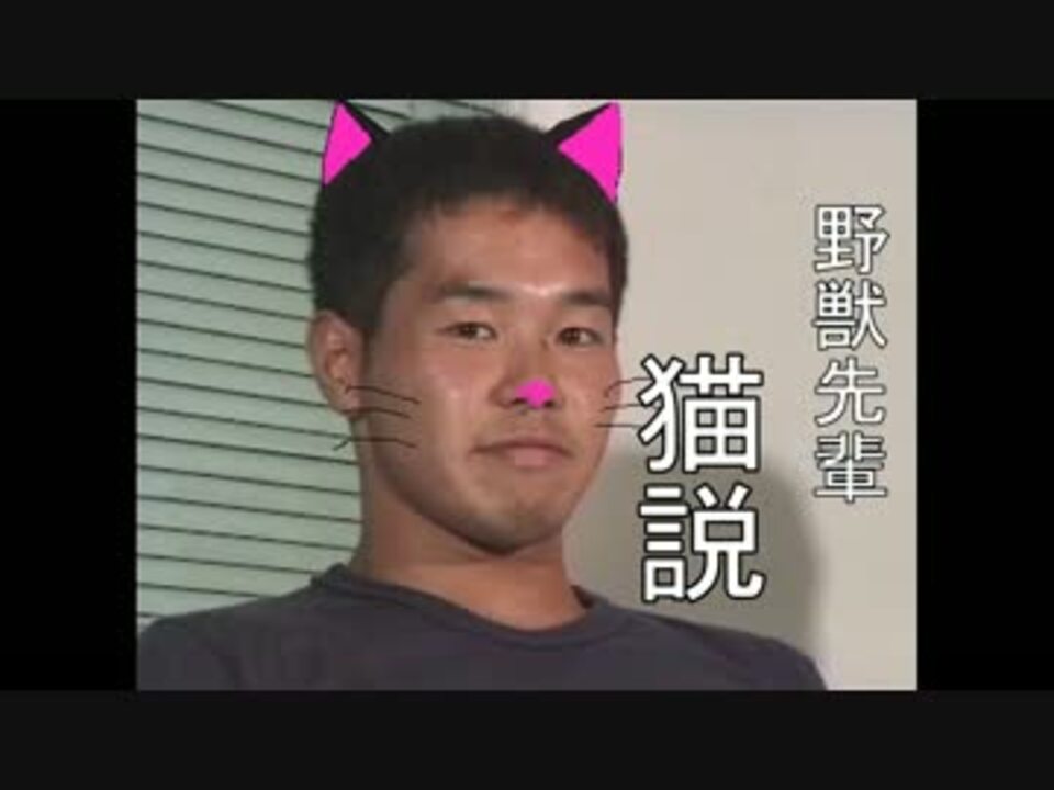 野獣先輩 猫説 ニコニコ動画