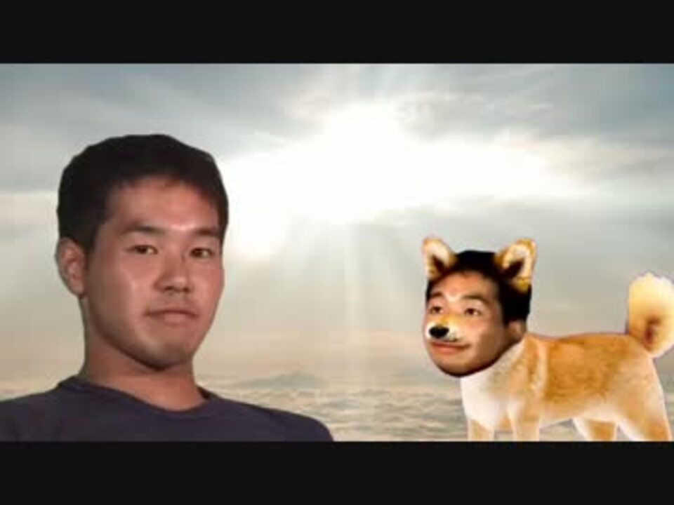 人気の 子犬先輩 動画 24本 ニコニコ動画