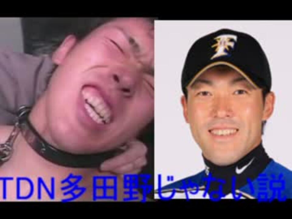 TDN多田野じゃない説 - ニコニコ動画