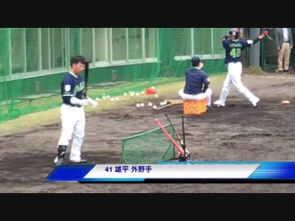 雄平ヤクルトスワローズキャンプ004沖縄 ニコニコ動画