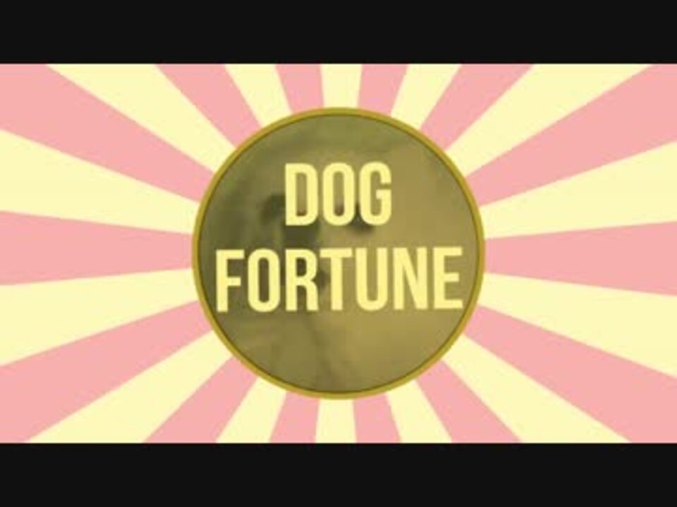 Dog Fortune ニコニコ動画