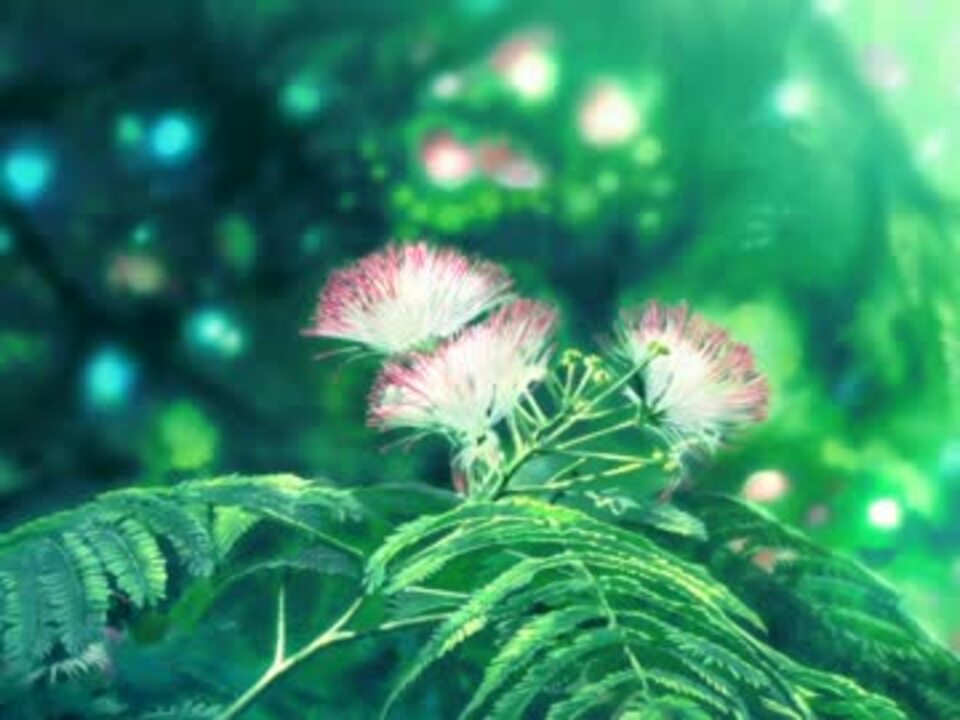 もしも明日が晴れならば - YouTube