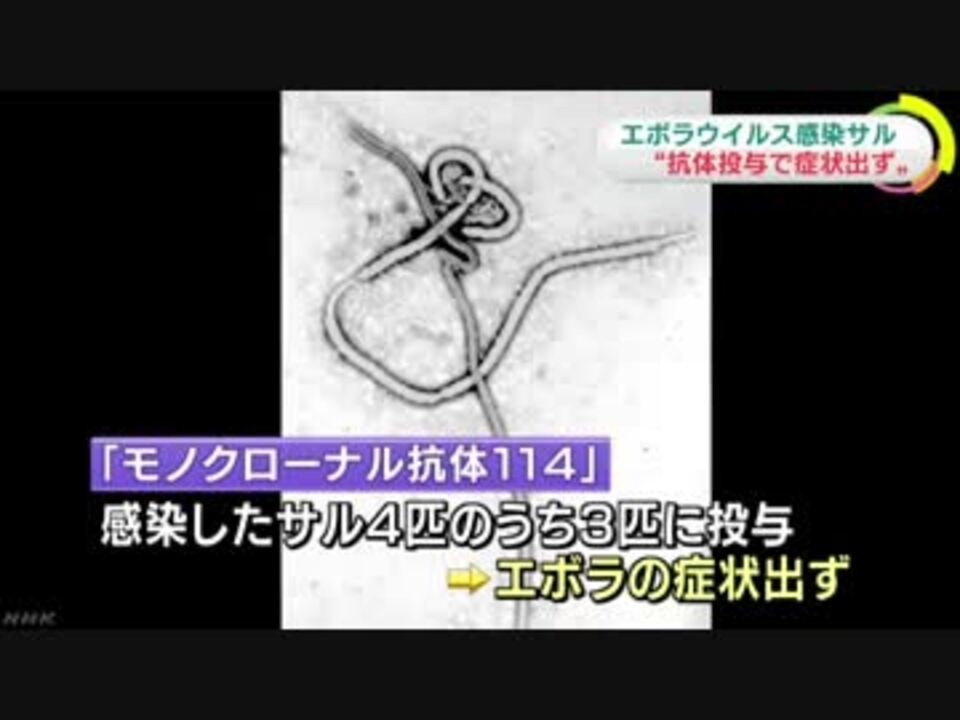 人気の エボラウイルス 動画 8本 ニコニコ動画