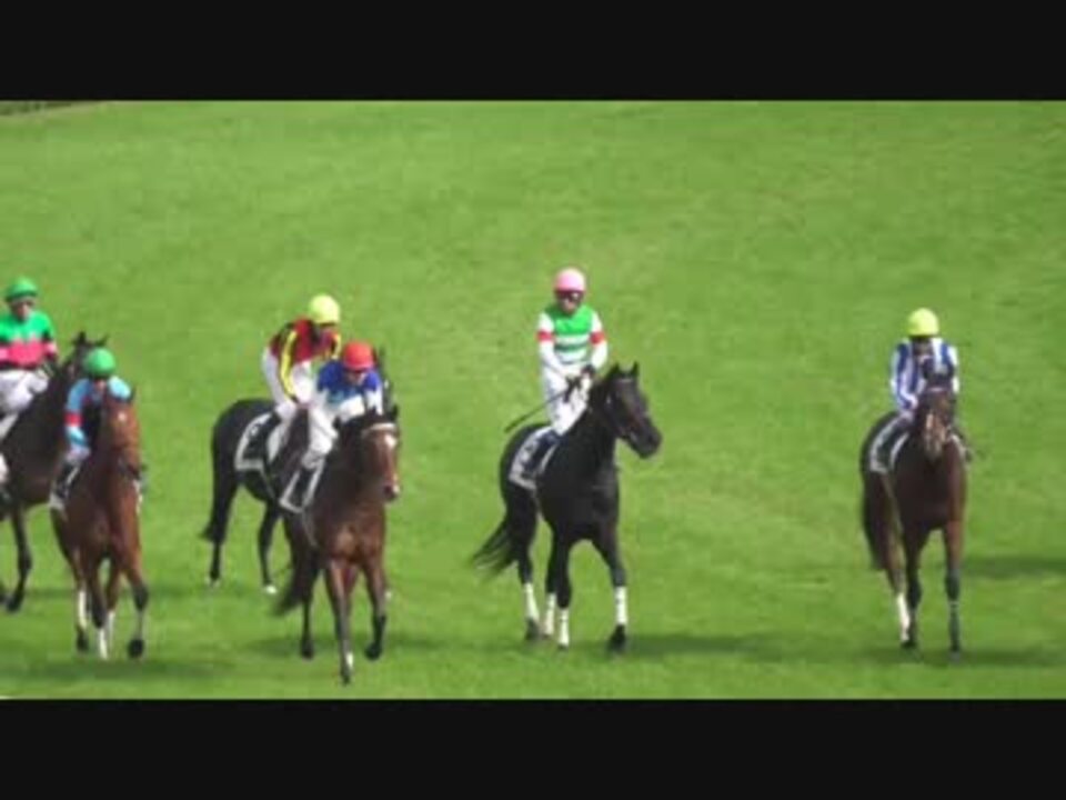 かわいい新作 リオンディーズ ２０１５年朝日杯フューチュリティ 現地的中 Tipethit Dk