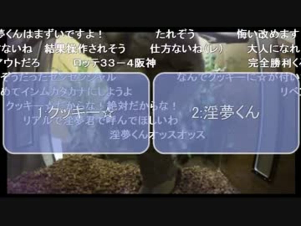 淫夢厨に名前を決められ完全勝利した淫夢くんuc ニコニコ動画