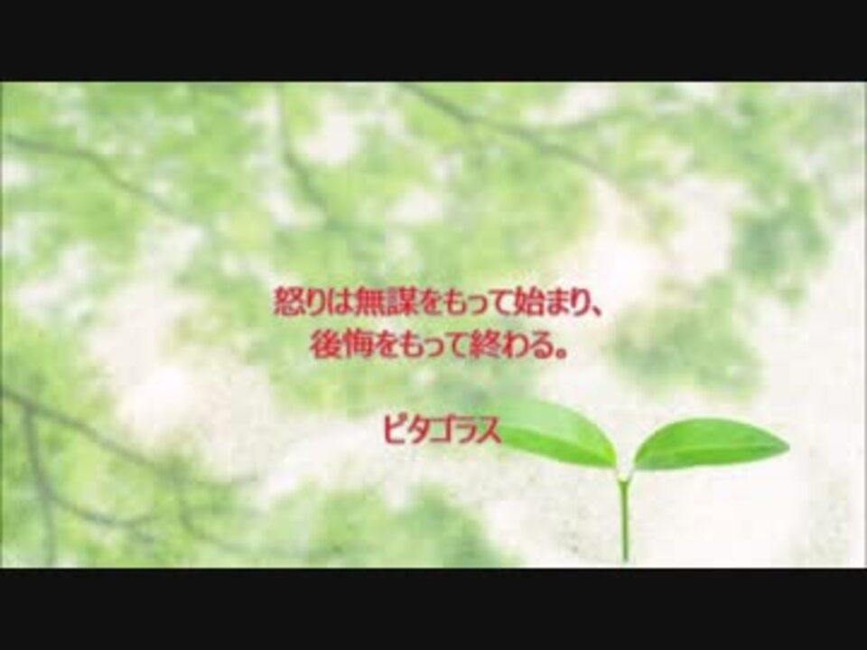 明日の自分にエールを送ろう ピタゴラス 長谷川桜子 ニコニコ動画