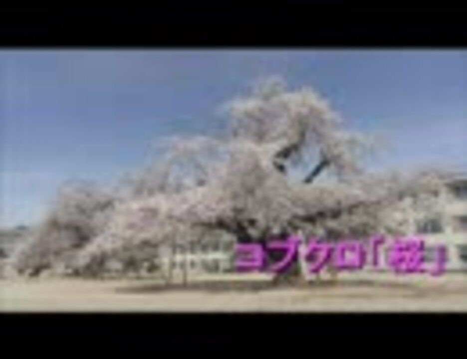 人気の 口笛 全敗侍 動画 4本 ニコニコ動画