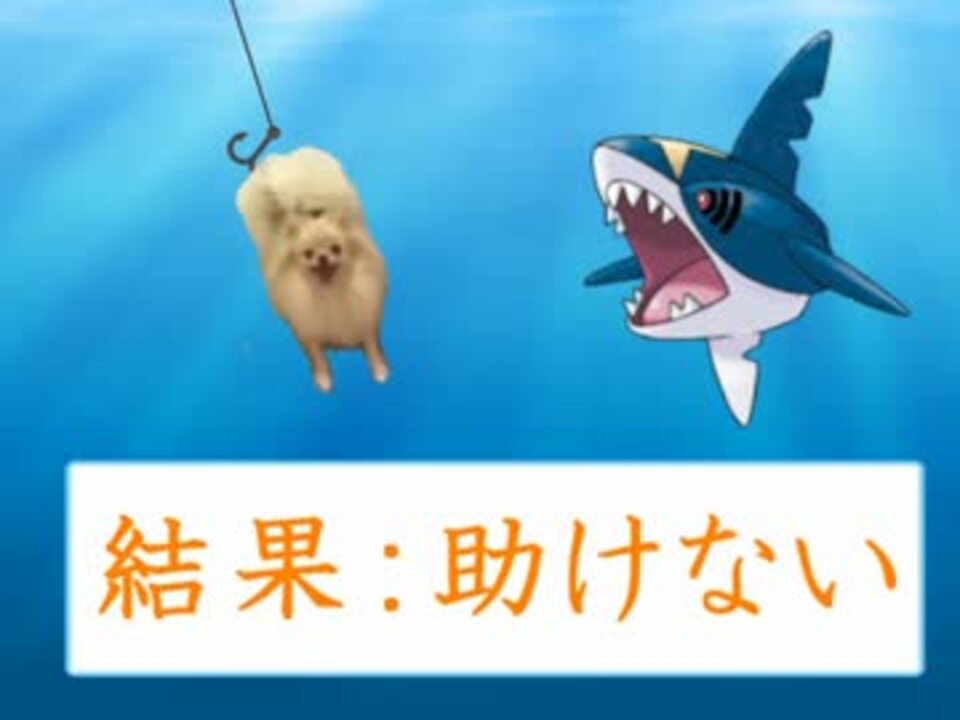 人気の 動物 トリビアの泉 動画 9本 ニコニコ動画