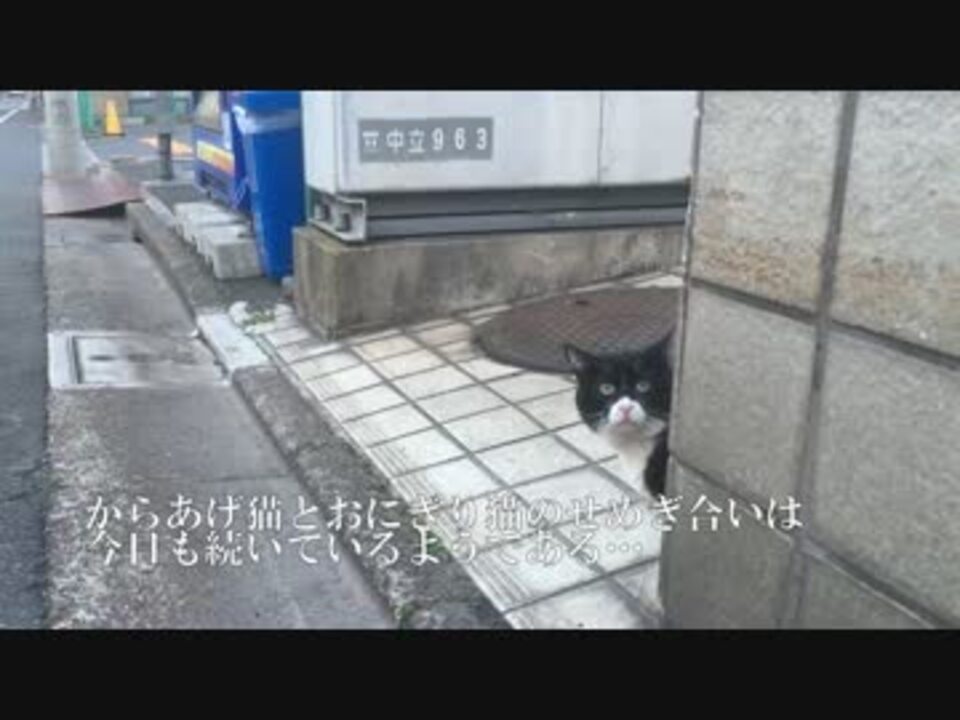 からあげ猫 跳ねる ニコニコ動画