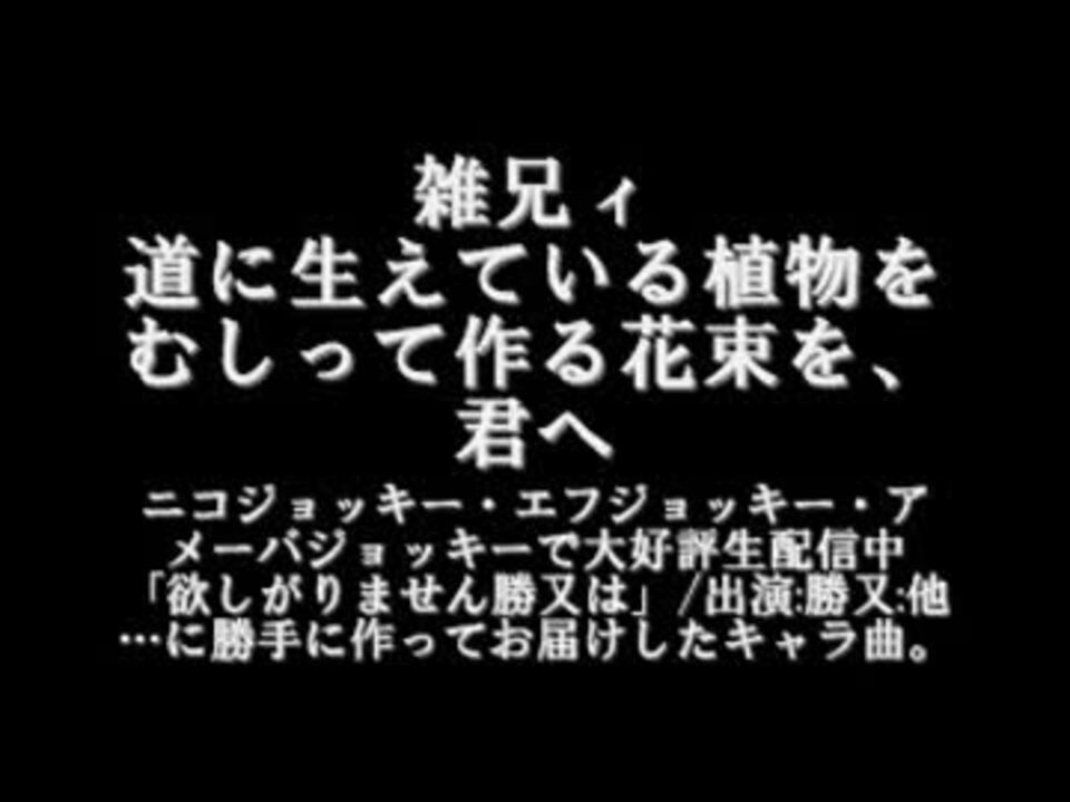 人気の ジョッキー 動画 40本 ニコニコ動画