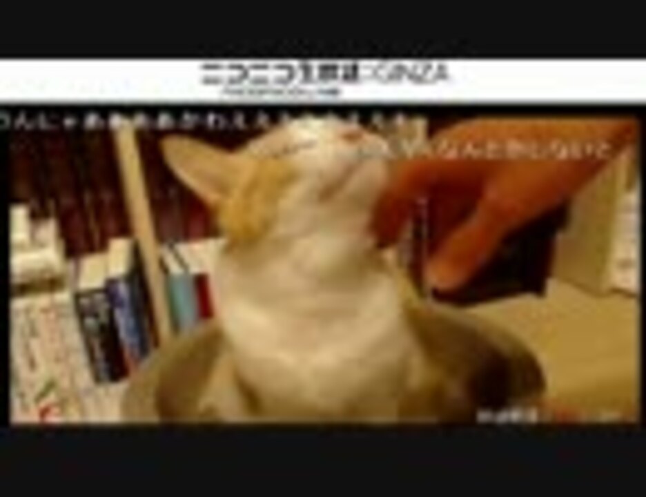 ぬこの心理学 ねこの心を読む 猫がもたらす心理効果とは 1 ニコニコ動画