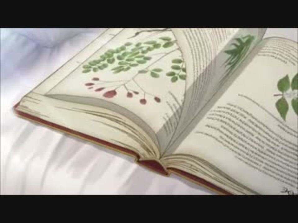 赤髪の白雪姫1期opを1期ed曲でバトル物っぽくしてみた ニコニコ動画