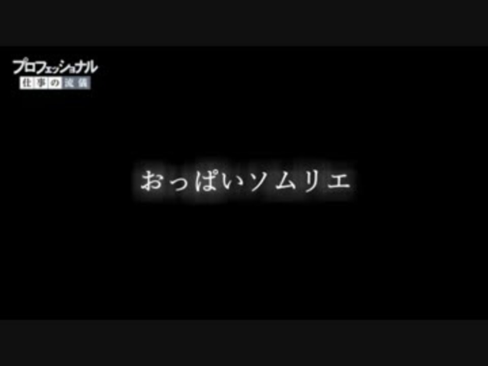 プロフェッショナル仕事の流儀 おっぱいソムリエ 艦これ ニコニコ動画