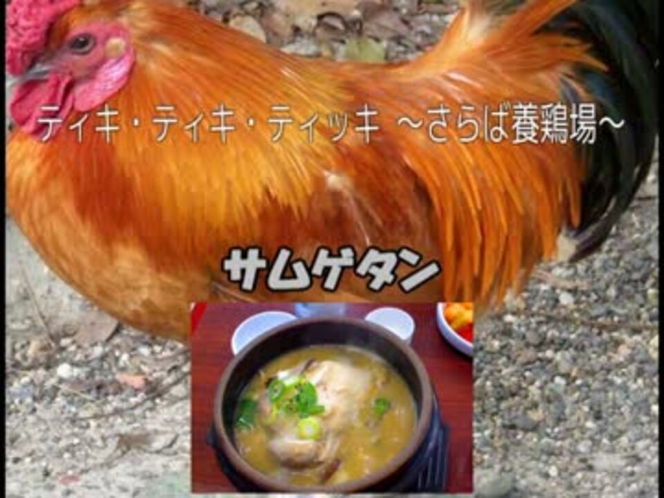 人気の サムゲタン 動画 32本 ニコニコ動画