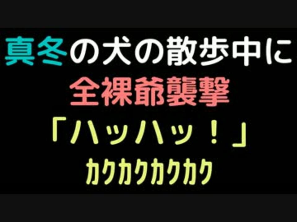 真冬の犬の散歩中に全裸爺襲撃 ハッハッ ｶｸｶｸｶｸｶｸ 2ch ニコニコ動画