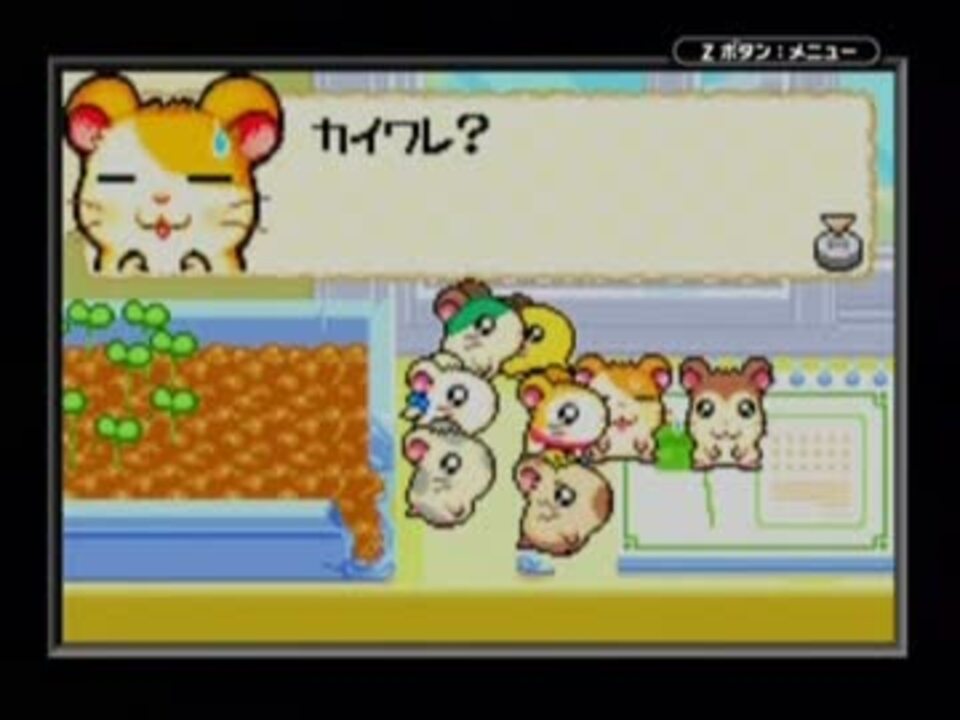 実況プレイとっとこハム太郎4 にじいろ大行進でちゅ part3 ニコニコ動画