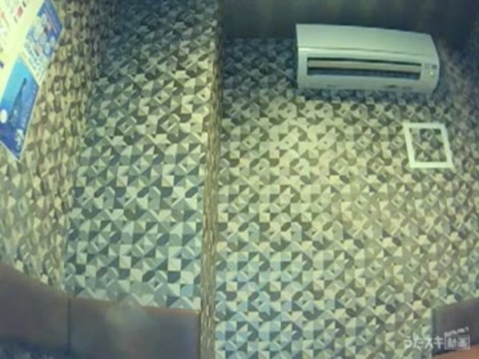 歌ってみた 好きよ 好きよ 好きよ 藤原さくら うたスキ ニコニコ動画