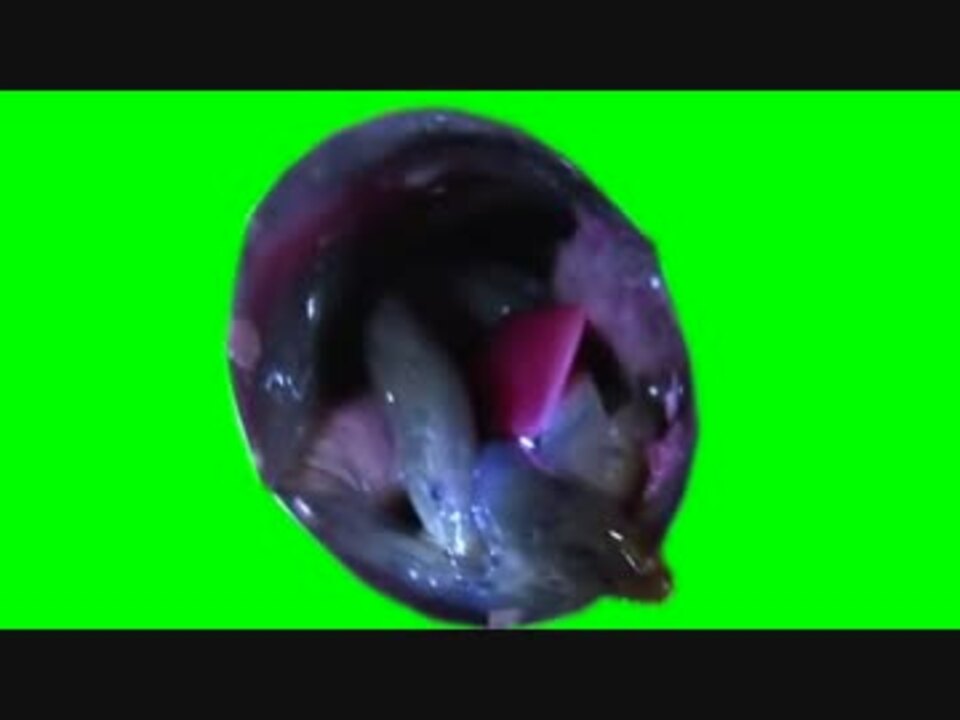 どじょうgb Kbtit ニコニコ動画