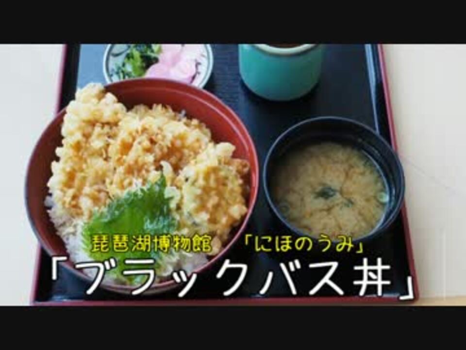 珍食珍道中 18品目 琵琶湖博物館 にほのうみ ブラックバス丼 ニコニコ動画