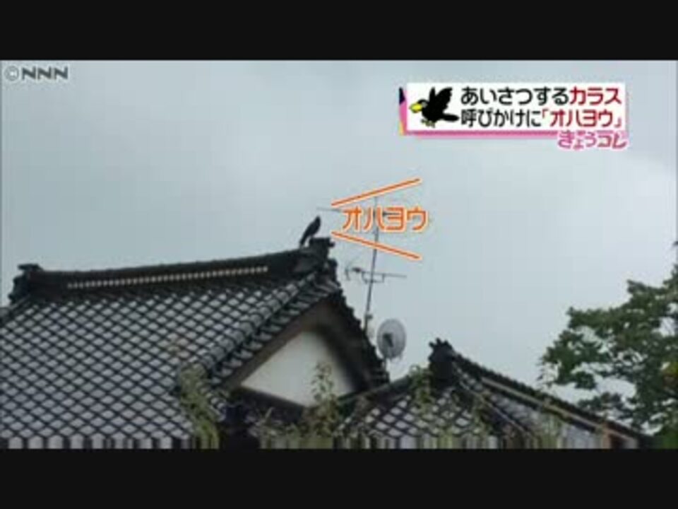 おはよう とあいさつされ 屋根見たら ニコニコ動画
