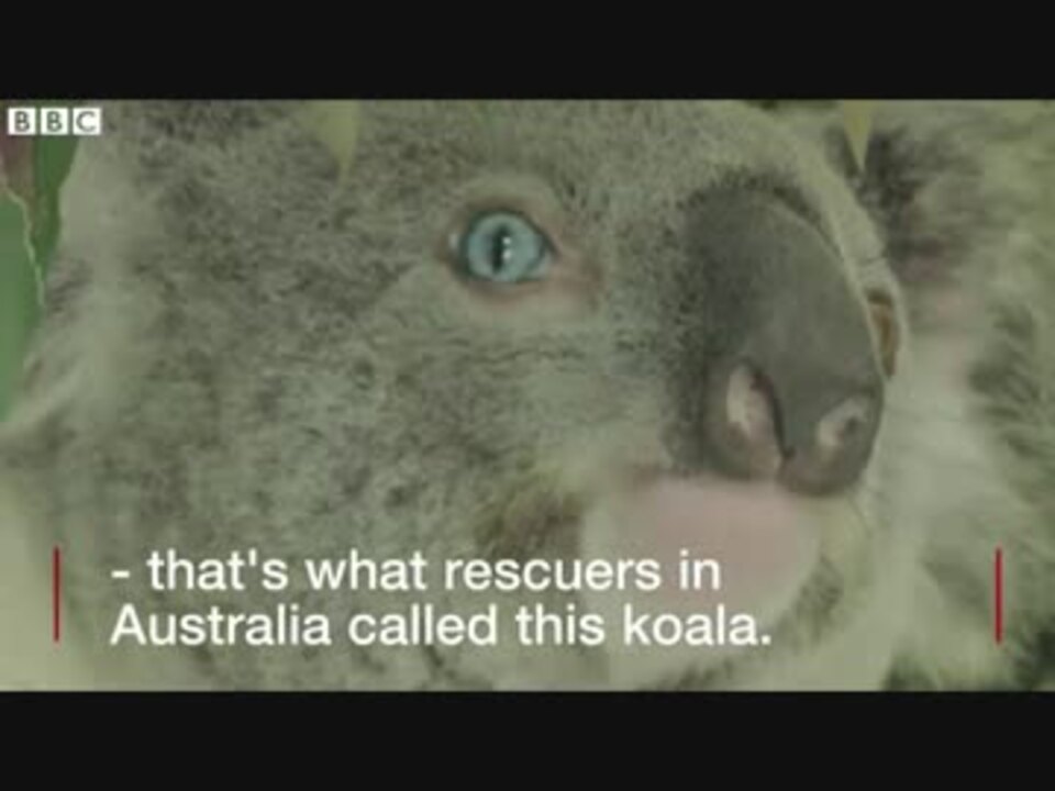 人気の コアら 動画 113本 2 ニコニコ動画