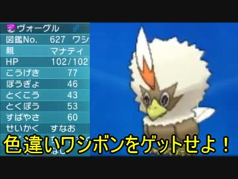 ポケモンoras 色違いワシボンをゲットせよ ニコニコ動画