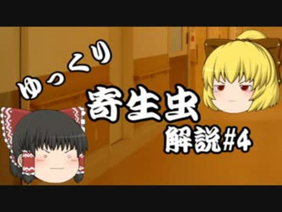 人気の 寄生虫 動画 371本 ニコニコ動画