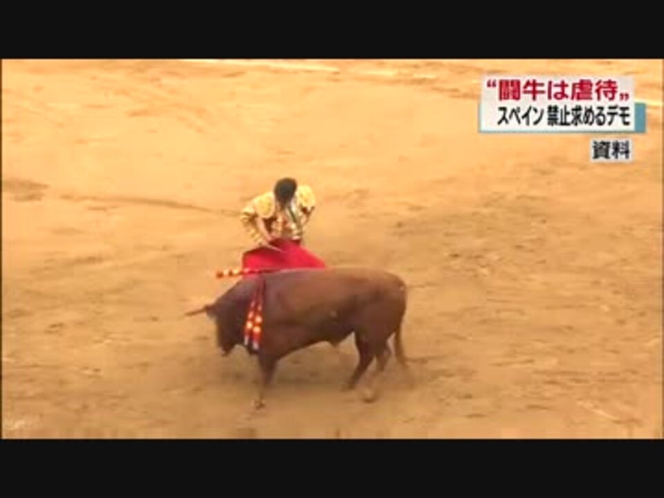 スペイン 闘牛は動物虐待 禁止を求め大規模デモ ニコニコ動画