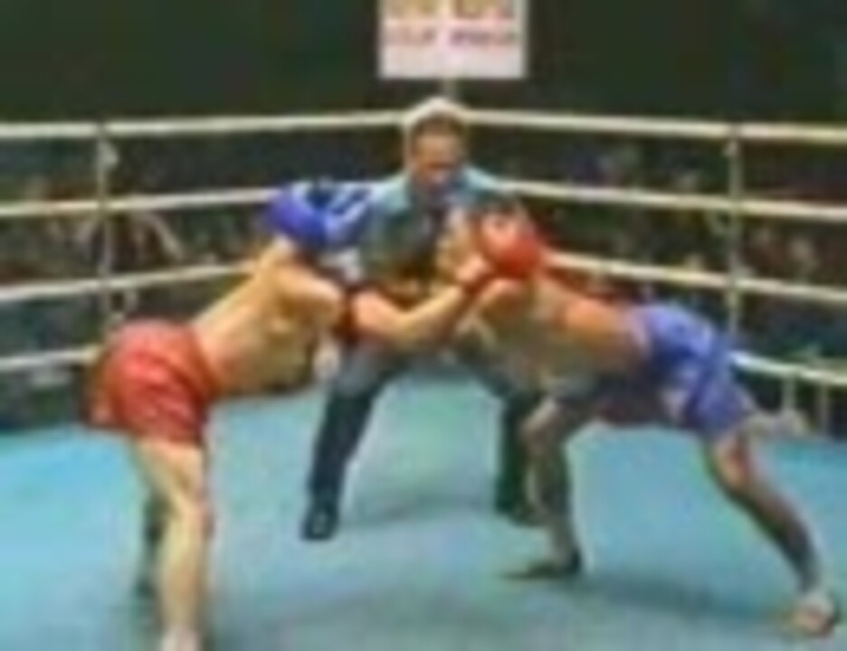 人気の 落ち込んだ時に見る動画 動画 8本 ニコニコ動画